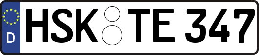 HSK-TE347