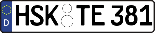 HSK-TE381