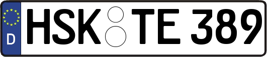 HSK-TE389