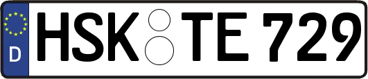 HSK-TE729