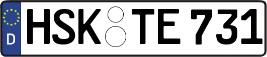 HSK-TE731