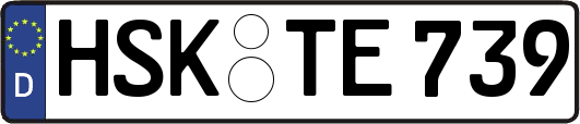 HSK-TE739