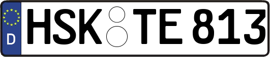 HSK-TE813