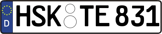 HSK-TE831