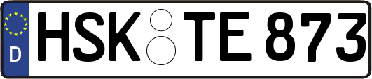 HSK-TE873