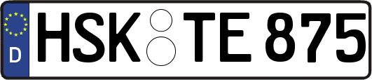HSK-TE875