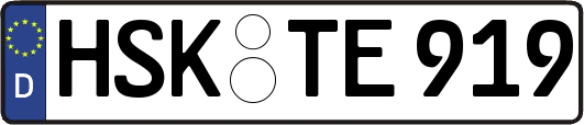 HSK-TE919