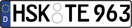 HSK-TE963