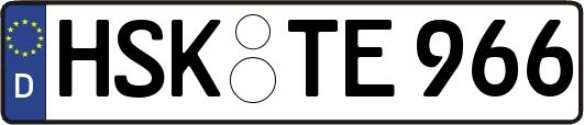 HSK-TE966