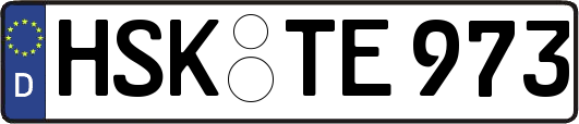 HSK-TE973