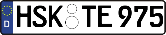 HSK-TE975