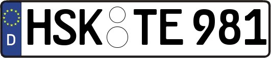 HSK-TE981