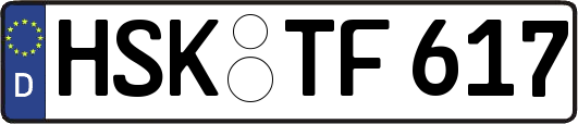 HSK-TF617