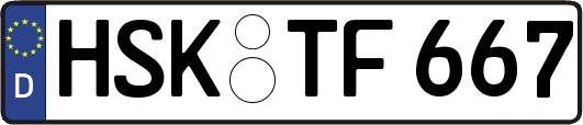 HSK-TF667