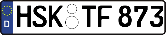 HSK-TF873