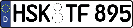 HSK-TF895