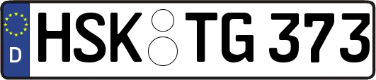 HSK-TG373