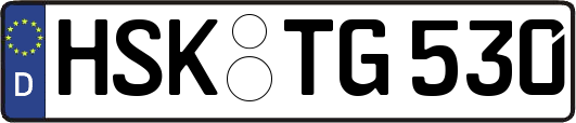 HSK-TG530