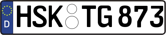 HSK-TG873