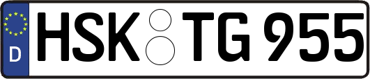 HSK-TG955