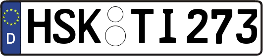 HSK-TI273