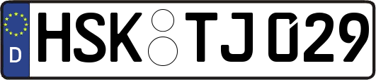 HSK-TJ029