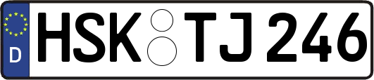 HSK-TJ246
