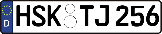 HSK-TJ256