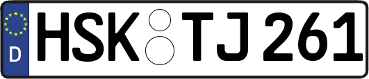 HSK-TJ261