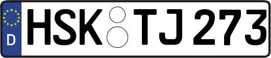 HSK-TJ273