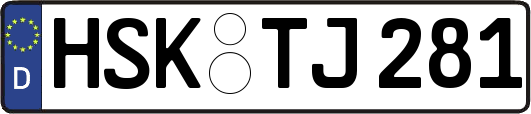 HSK-TJ281