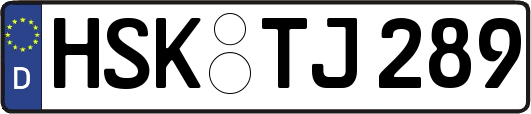 HSK-TJ289