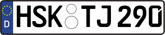 HSK-TJ290