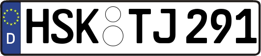 HSK-TJ291