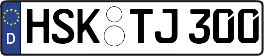 HSK-TJ300