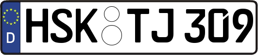 HSK-TJ309