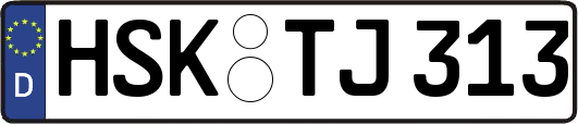 HSK-TJ313