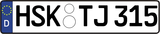 HSK-TJ315