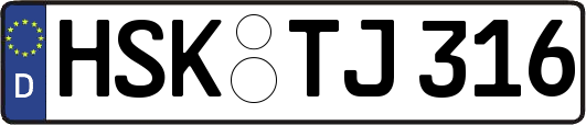 HSK-TJ316