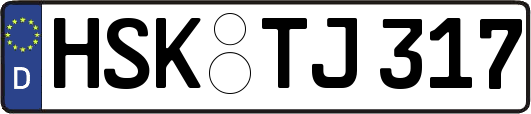 HSK-TJ317