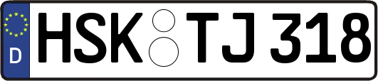 HSK-TJ318