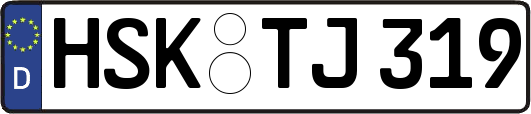 HSK-TJ319
