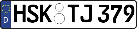 HSK-TJ379