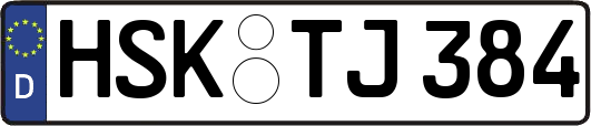 HSK-TJ384