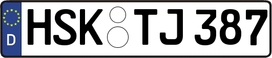 HSK-TJ387