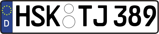 HSK-TJ389