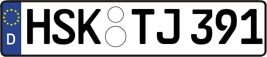 HSK-TJ391