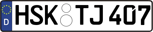 HSK-TJ407