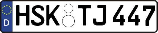 HSK-TJ447