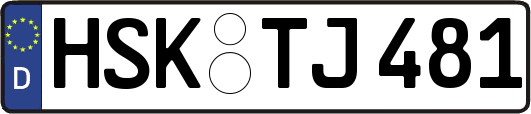 HSK-TJ481